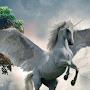 @user-unicorn777