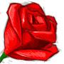 @muhammadhamidanwar5046