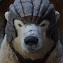 @arctikbear