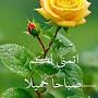 @رشيد-ض6ط