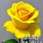 @CristyanCristyan-fd9oq