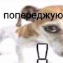 @ingjerddd4249