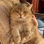 @Котейкамоя
