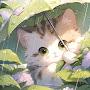 @Lisa-035