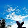 @harshithasuvarna9888