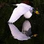 @PhotographerYhh