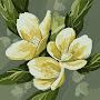 @nazsaud3557