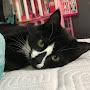 @loveanimals5501