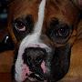 @ariellebuitenhuys6671