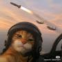 @fightMeowPilot