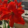 @shahidhagull8588