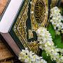 @786اقرا