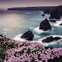 @ابنطيب-ر5ك