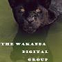 @WakandaDigitalGroup