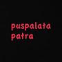 @pushpalatapatra2335