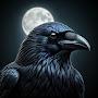@Corvus-Moon