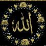 @TheIslamicAalim