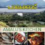 @amaluskitchen9750