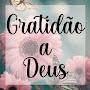 @lucileneleitedesousa7982