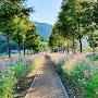 @입큰개구리-g7v