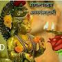 @santoshray3843