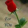 @shamanjamali3927