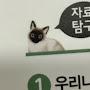 @박성화셔츠두번재단추