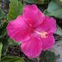 @rajeshwar6319