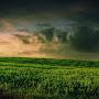 @smakkarsutharsuthar9342