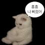 @뽑캣