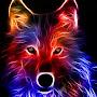 @Liquify-dx3dk