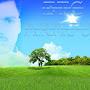 @manjuransari3372