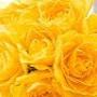 @maryberklund750