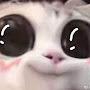 @orhorz2854