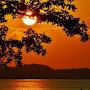 @sahasragudipudi1701