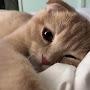 @뭘봐-z6w