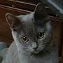 @ローラローラ-j3b