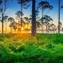 @roberth.4074