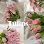 @SalmaTawalbeh-w6w