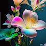 @mohammadarshad1961