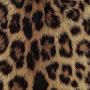 @Iluvcheetahprint