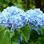 @NouraAlkhalifa-w6o