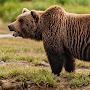 @fotopuapkabieszczady976
