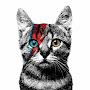 @user-katze