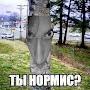 @113h_tm
