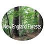 @NewEnglandForests