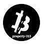 @property-313