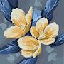 @aydenchungxunwang5177