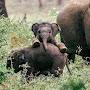 @911abhijeet