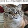 @망태할아버지-k2t